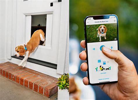 wifi enabled dog door